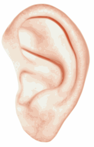 12344047151156616159bionet_human_ear.svg.med